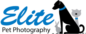 elite pet photography logo
